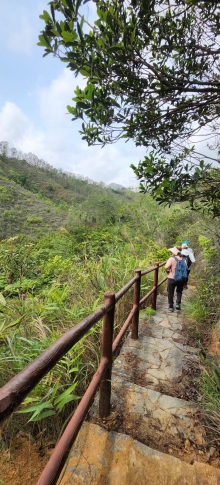 Thumbnail of pic_Si9_007.jpg