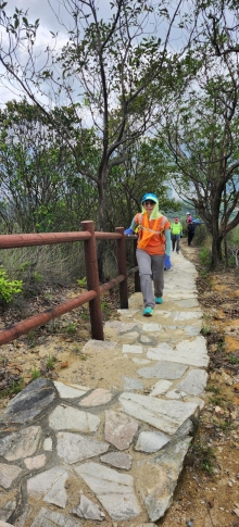 Thumbnail of pic_Si9_021.jpg