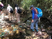 Thumbnail of P4190025.JPG