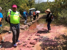 Thumbnail of P4190027.JPG