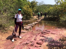 Thumbnail of P4190028.JPG