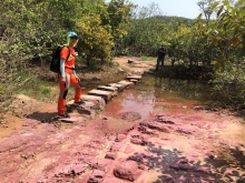 Thumbnail of P4190029.JPG