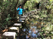 Thumbnail of P4190040.JPG