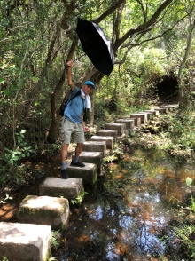 Thumbnail of P4190047.JPG