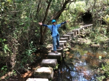 Thumbnail of P4190048.JPG