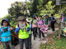 Thumbnail of P4190065.JPG