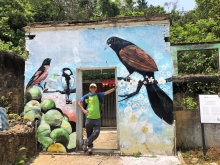 Thumbnail of P4190074.JPG