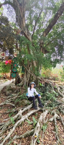 Thumbnail of pic_Derek_Wong_078.jpg