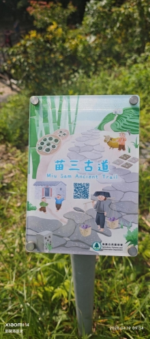 Thumbnail of pic_Fong_007.jpg