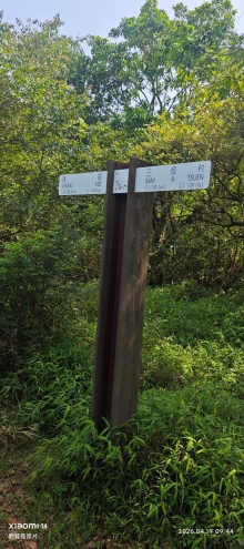 Thumbnail of pic_Fong_011.jpg