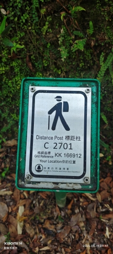 Thumbnail of pic_Fong_013.jpg