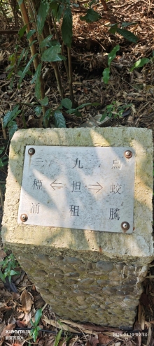 Thumbnail of pic_Fong_015.jpg