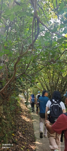 Thumbnail of pic_Fong_017.jpg