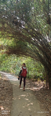 Thumbnail of pic_Fong_022.jpg