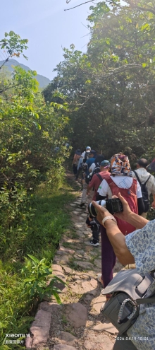 Thumbnail of pic_Fong_026.jpg