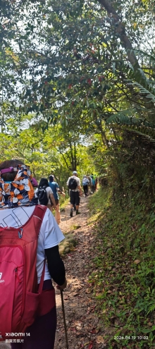 Thumbnail of pic_Fong_027.jpg