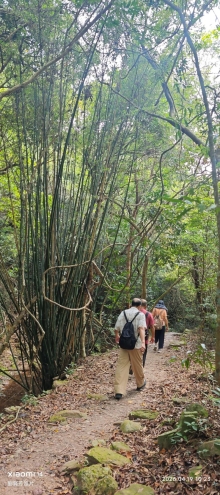 Thumbnail of pic_Fong_035.jpg