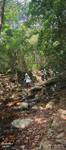 Thumbnail of pic_Fong_038.jpg