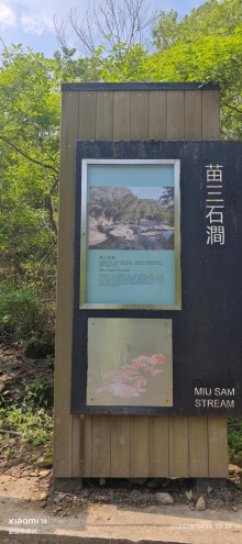 Thumbnail of pic_Fong_040.jpg