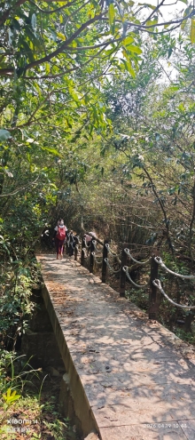 Thumbnail of pic_Fong_048.jpg