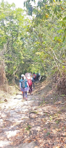 Thumbnail of pic_Fong_050.jpg