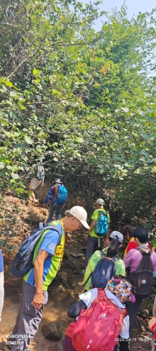 Thumbnail of pic_Fong_051.jpg