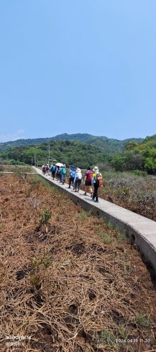 Thumbnail of pic_Fong_066.jpg