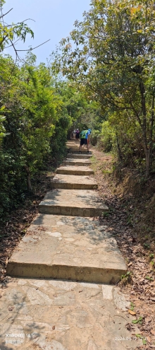 Thumbnail of pic_Fong_075.jpg