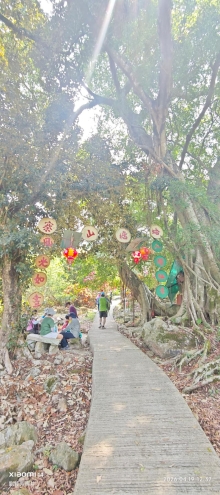 Thumbnail of pic_Fong_077.jpg