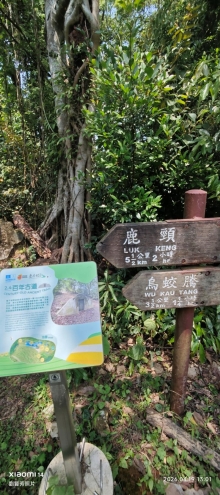 Thumbnail of pic_Fong_091.jpg