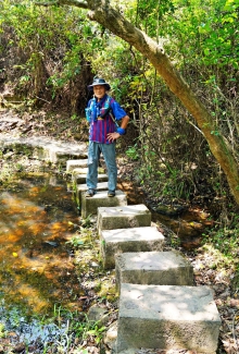 Thumbnail of pic_Lee_Shing_005.JPG