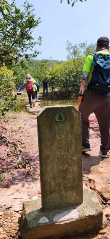 Thumbnail of pic_Si9_016.jpg