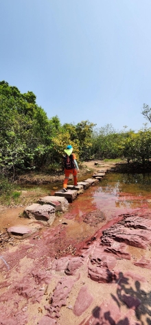 Thumbnail of pic_Si9_023.jpg