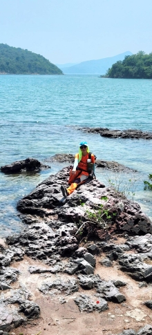 Thumbnail of pic_Si9_031.jpg