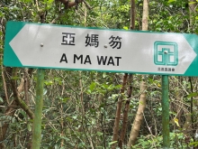 Thumbnail of pic_TB_Tung_024.JPG