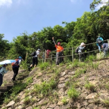 Thumbnail of P4260005.JPG