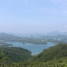 Thumbnail of P4260015.JPG