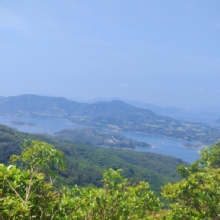 Thumbnail of pic_Cindy_Tse_006.jpg