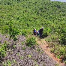 Thumbnail of pic_Derek_Wong_020.jpg