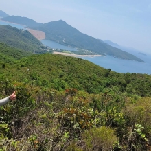 Thumbnail of pic_Derek_Wong_027.jpg