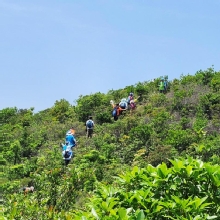 Thumbnail of pic_Si9_008.jpg