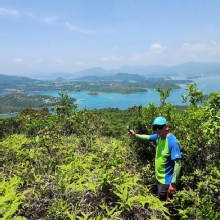 Thumbnail of pic_Si9_014.jpg