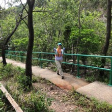 Thumbnail of P5030015.JPG