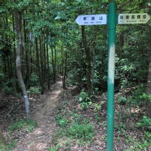 Thumbnail of P5030044.JPG