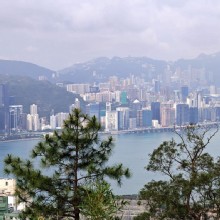 Thumbnail of pic_KL_Sin_022.jpg