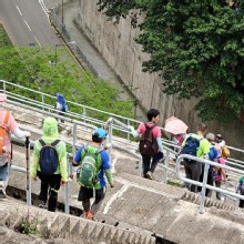 Thumbnail of pic_KL_Sin_055.jpg
