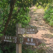 Thumbnail of pic_Cindy_Tse_011.jpg