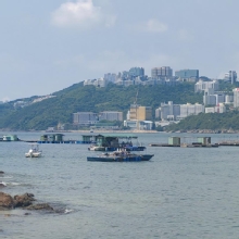 Thumbnail of pic_Cindy_Tse_016.jpg