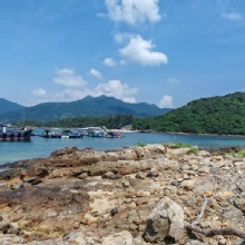 Thumbnail of pic_Cindy_Tse_020.jpg
