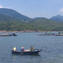 Thumbnail of pic_Cindy_Tse_031.jpg